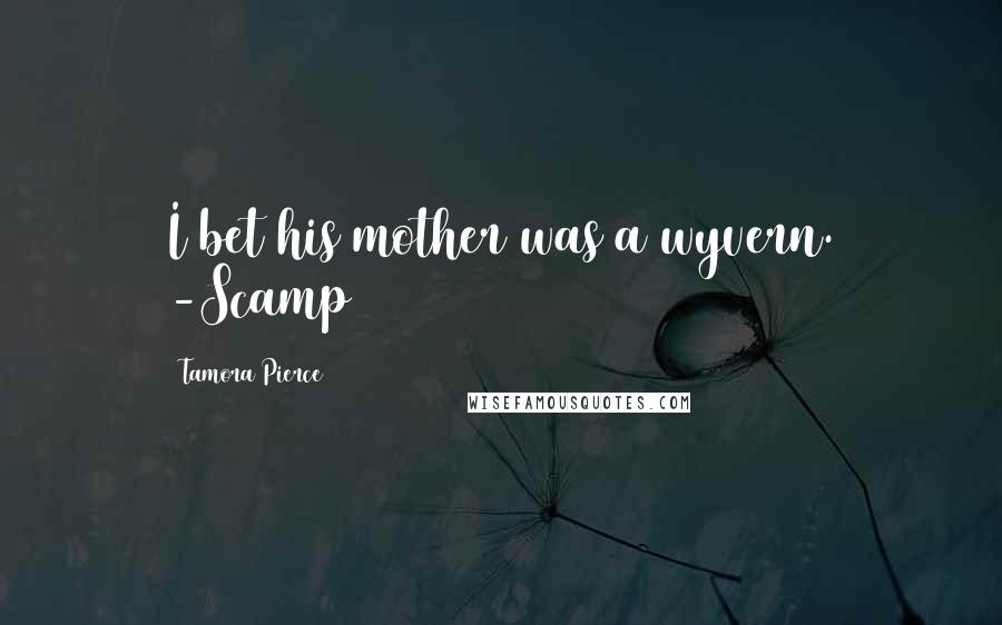 Tamora Pierce Quotes: I bet his mother was a wyvern. -Scamp