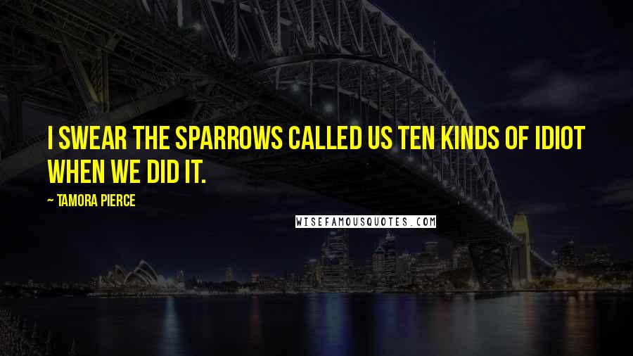 Tamora Pierce Quotes: I swear the sparrows called us ten kinds of idiot when we did it.