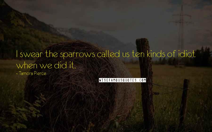 Tamora Pierce Quotes: I swear the sparrows called us ten kinds of idiot when we did it.