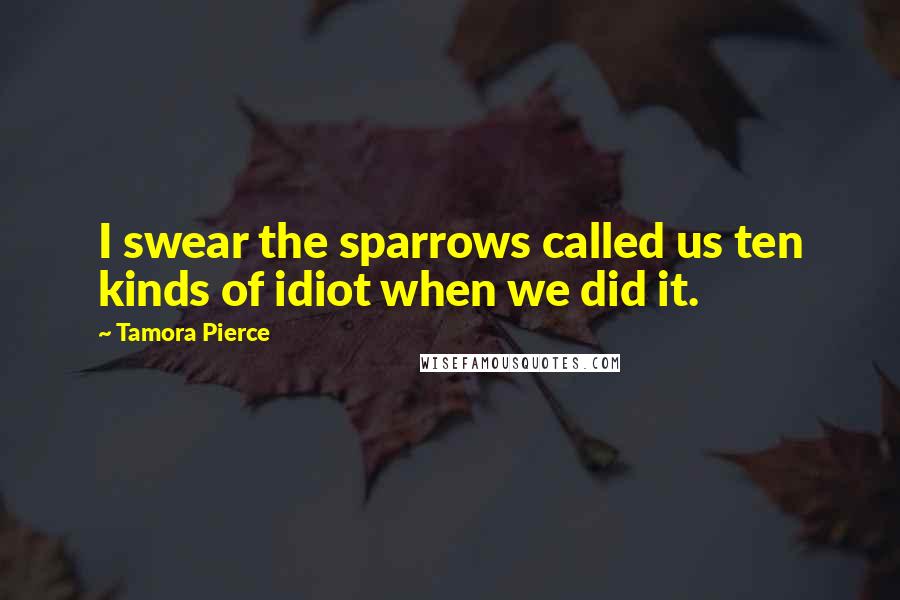 Tamora Pierce Quotes: I swear the sparrows called us ten kinds of idiot when we did it.