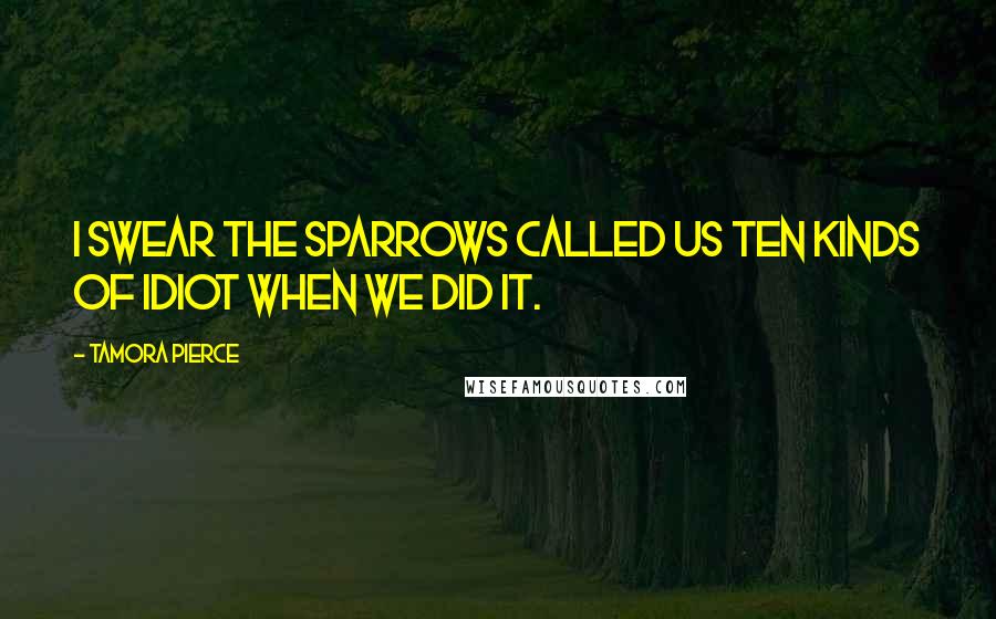 Tamora Pierce Quotes: I swear the sparrows called us ten kinds of idiot when we did it.