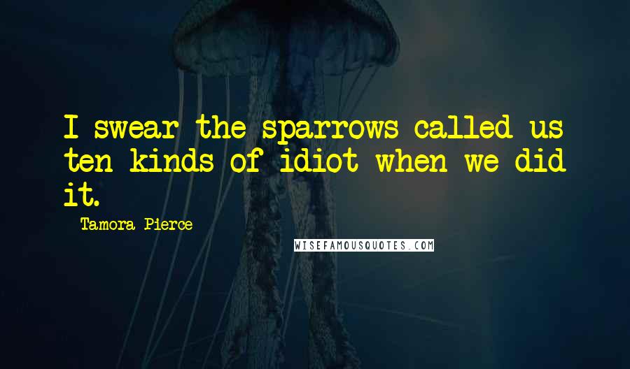 Tamora Pierce Quotes: I swear the sparrows called us ten kinds of idiot when we did it.