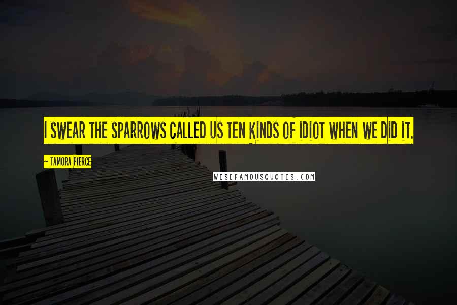 Tamora Pierce Quotes: I swear the sparrows called us ten kinds of idiot when we did it.