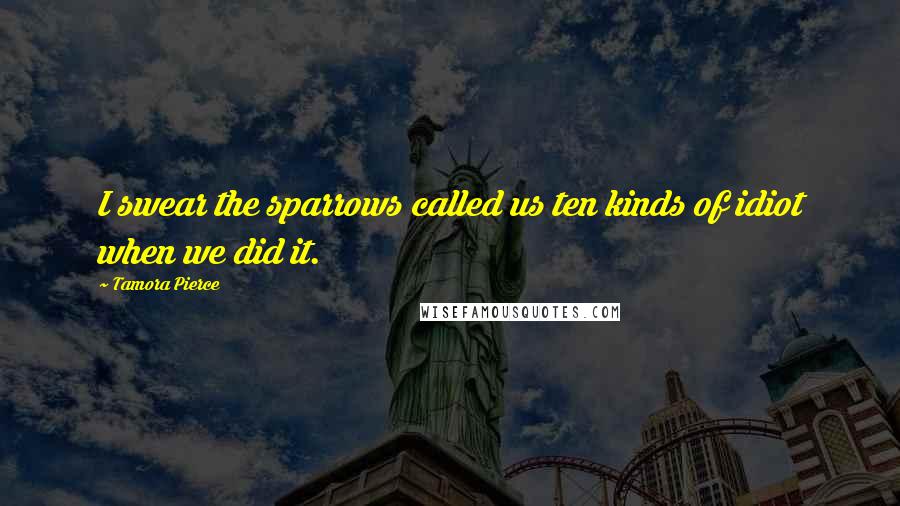 Tamora Pierce Quotes: I swear the sparrows called us ten kinds of idiot when we did it.