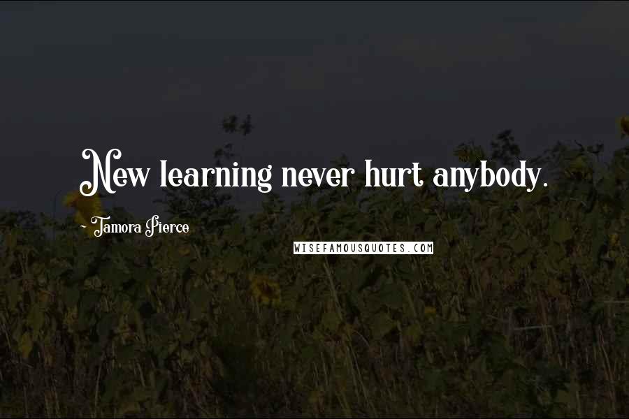 Tamora Pierce Quotes: New learning never hurt anybody.