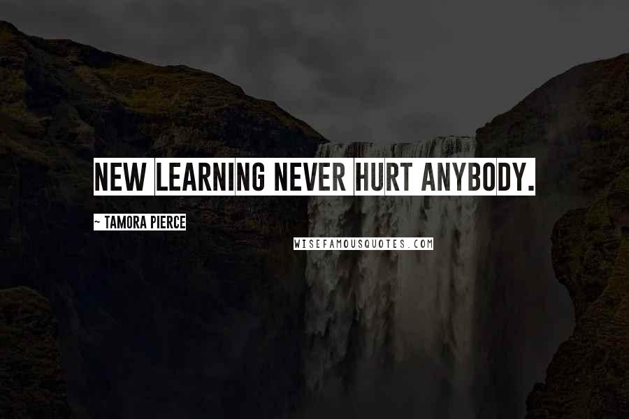 Tamora Pierce Quotes: New learning never hurt anybody.