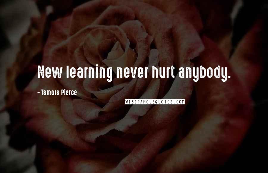 Tamora Pierce Quotes: New learning never hurt anybody.