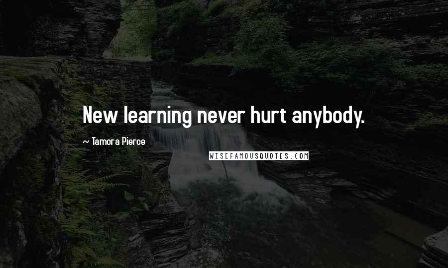 Tamora Pierce Quotes: New learning never hurt anybody.