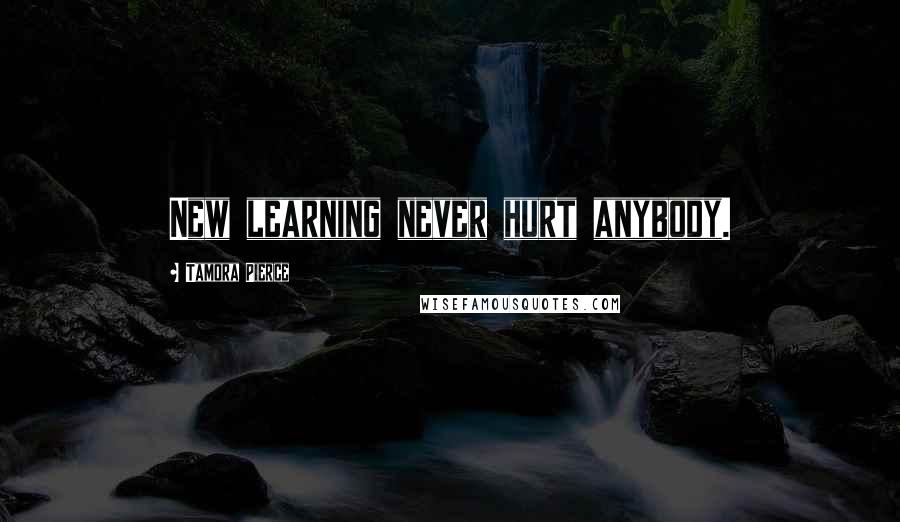 Tamora Pierce Quotes: New learning never hurt anybody.