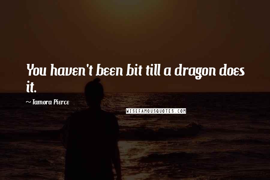 Tamora Pierce Quotes: You haven't been bit till a dragon does it.