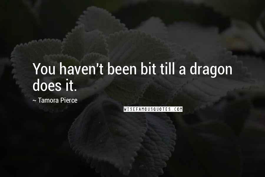 Tamora Pierce Quotes: You haven't been bit till a dragon does it.