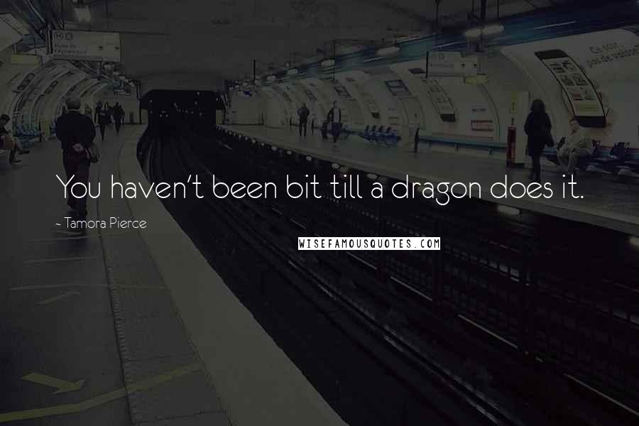 Tamora Pierce Quotes: You haven't been bit till a dragon does it.