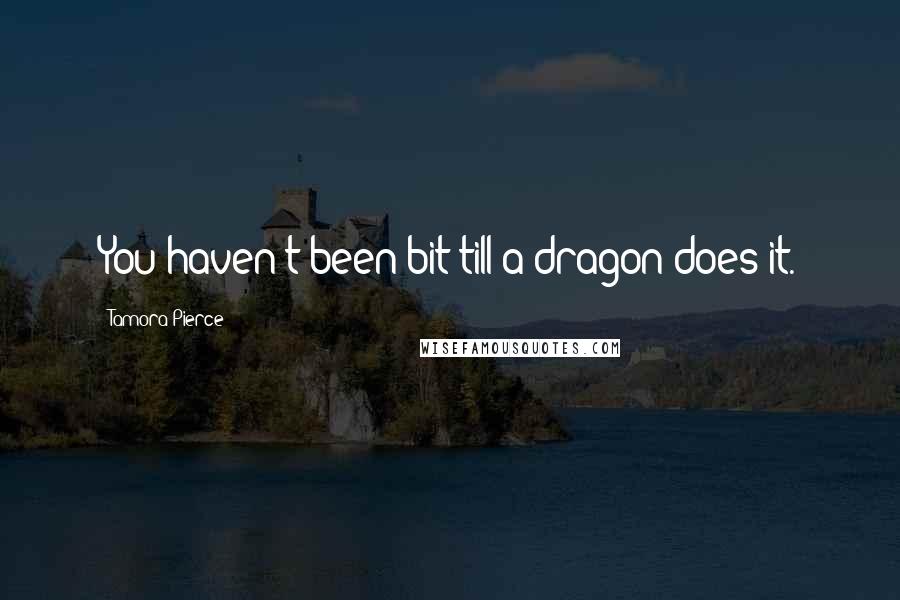 Tamora Pierce Quotes: You haven't been bit till a dragon does it.