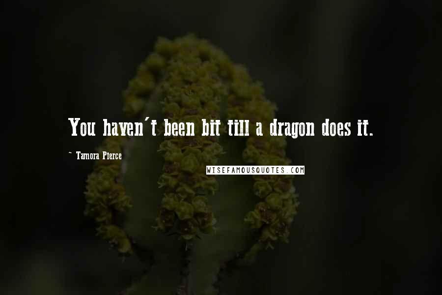 Tamora Pierce Quotes: You haven't been bit till a dragon does it.