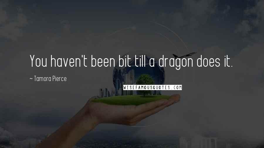 Tamora Pierce Quotes: You haven't been bit till a dragon does it.