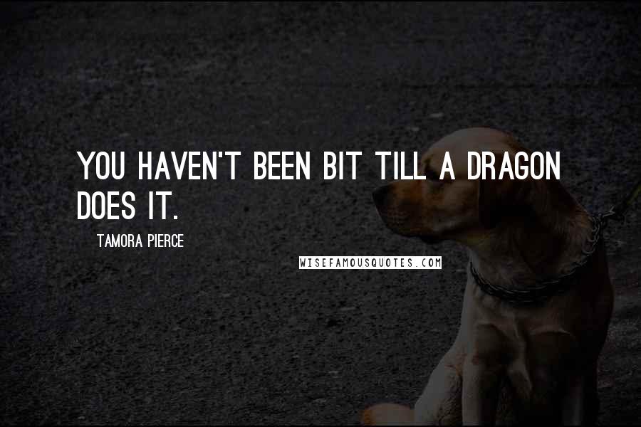 Tamora Pierce Quotes: You haven't been bit till a dragon does it.