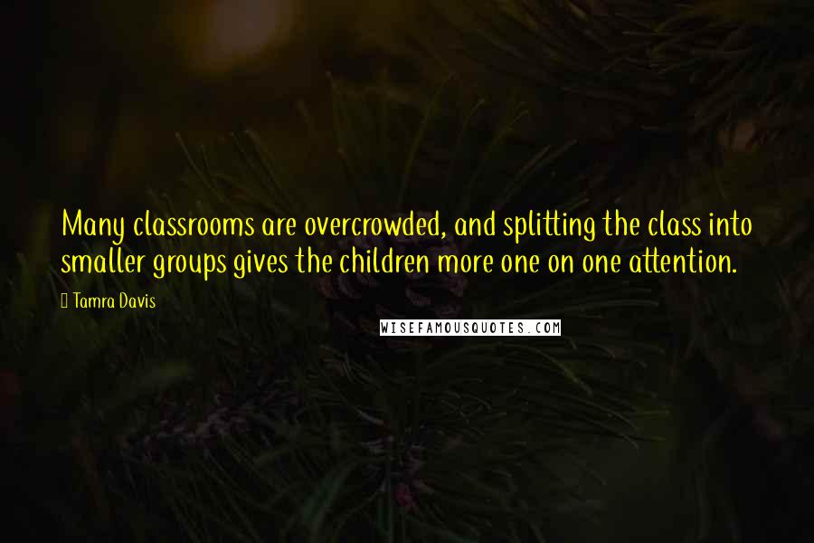 Tamra Davis Quotes: Many classrooms are overcrowded, and splitting the class into smaller groups gives the children more one on one attention.