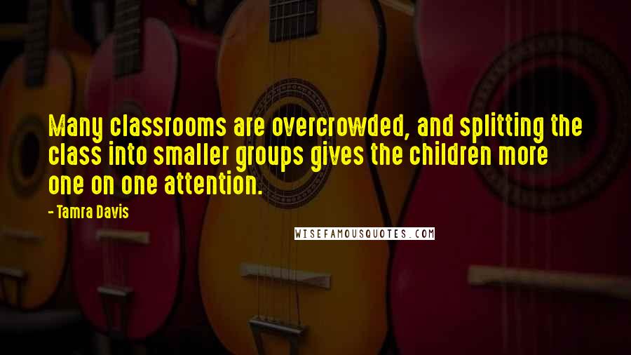 Tamra Davis Quotes: Many classrooms are overcrowded, and splitting the class into smaller groups gives the children more one on one attention.