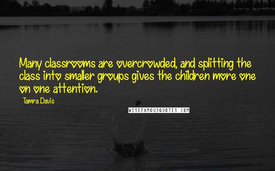 Tamra Davis Quotes: Many classrooms are overcrowded, and splitting the class into smaller groups gives the children more one on one attention.