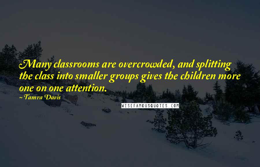 Tamra Davis Quotes: Many classrooms are overcrowded, and splitting the class into smaller groups gives the children more one on one attention.