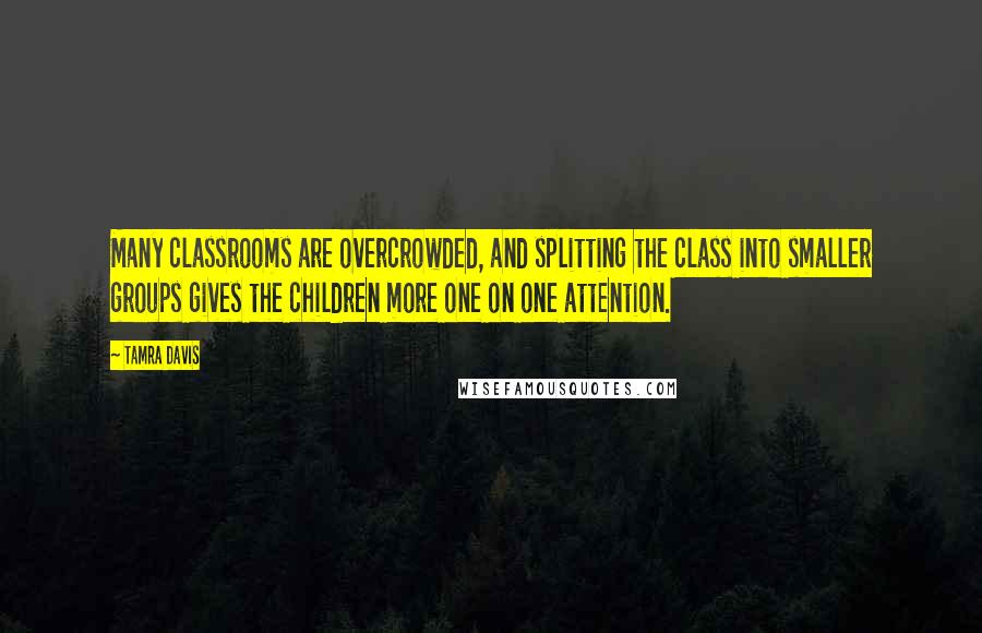 Tamra Davis Quotes: Many classrooms are overcrowded, and splitting the class into smaller groups gives the children more one on one attention.