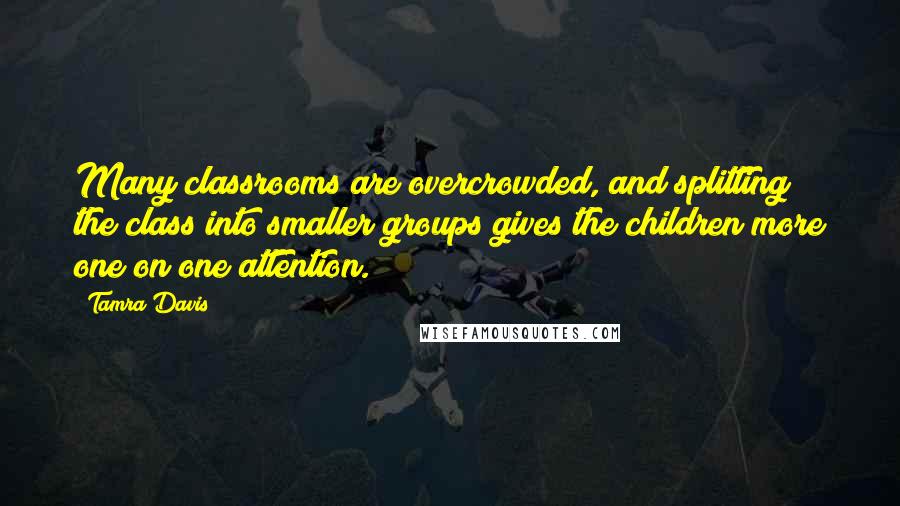 Tamra Davis Quotes: Many classrooms are overcrowded, and splitting the class into smaller groups gives the children more one on one attention.