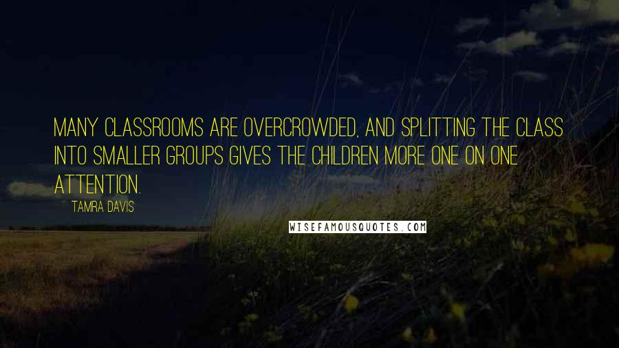 Tamra Davis Quotes: Many classrooms are overcrowded, and splitting the class into smaller groups gives the children more one on one attention.