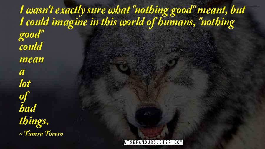 Tamra Torero Quotes: I wasn't exactly sure what "nothing good" meant, but I could imagine in this world of humans, "nothing good" could mean a lot of bad things.