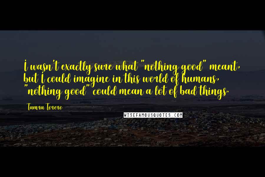 Tamra Torero Quotes: I wasn't exactly sure what "nothing good" meant, but I could imagine in this world of humans, "nothing good" could mean a lot of bad things.