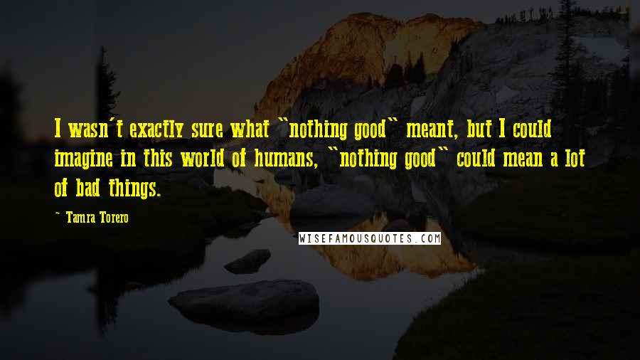 Tamra Torero Quotes: I wasn't exactly sure what "nothing good" meant, but I could imagine in this world of humans, "nothing good" could mean a lot of bad things.