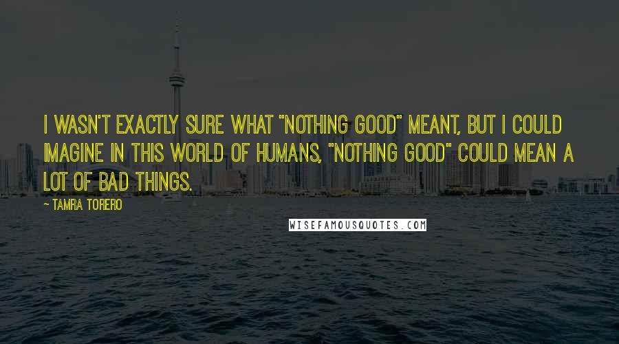 Tamra Torero Quotes: I wasn't exactly sure what "nothing good" meant, but I could imagine in this world of humans, "nothing good" could mean a lot of bad things.