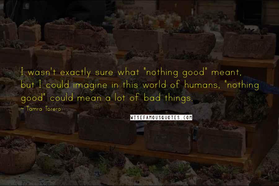 Tamra Torero Quotes: I wasn't exactly sure what "nothing good" meant, but I could imagine in this world of humans, "nothing good" could mean a lot of bad things.