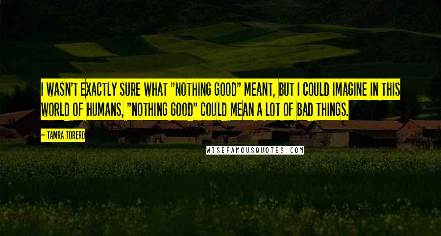 Tamra Torero Quotes: I wasn't exactly sure what "nothing good" meant, but I could imagine in this world of humans, "nothing good" could mean a lot of bad things.