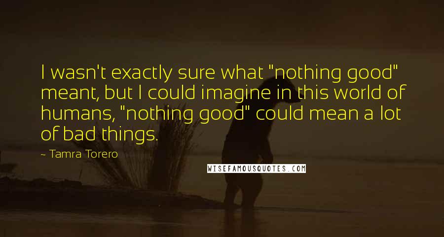 Tamra Torero Quotes: I wasn't exactly sure what "nothing good" meant, but I could imagine in this world of humans, "nothing good" could mean a lot of bad things.