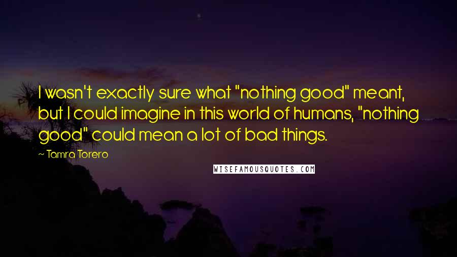 Tamra Torero Quotes: I wasn't exactly sure what "nothing good" meant, but I could imagine in this world of humans, "nothing good" could mean a lot of bad things.