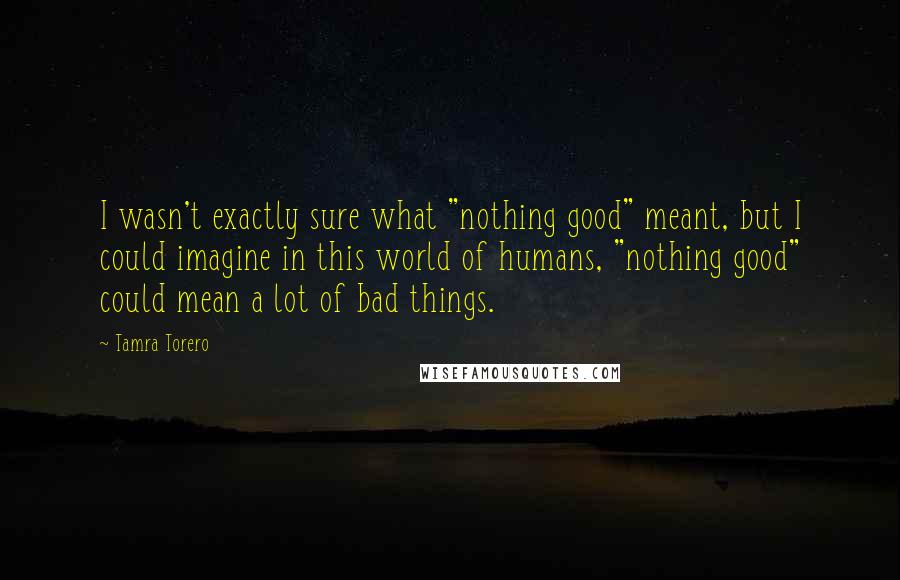 Tamra Torero Quotes: I wasn't exactly sure what "nothing good" meant, but I could imagine in this world of humans, "nothing good" could mean a lot of bad things.