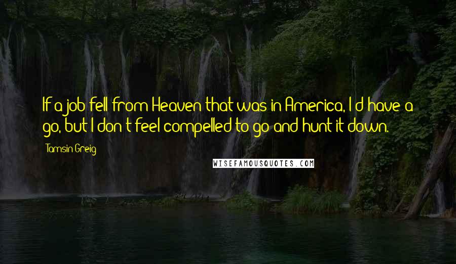 Tamsin Greig Quotes: If a job fell from Heaven that was in America, I'd have a go, but I don't feel compelled to go and hunt it down.