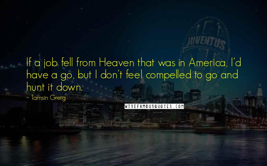 Tamsin Greig Quotes: If a job fell from Heaven that was in America, I'd have a go, but I don't feel compelled to go and hunt it down.