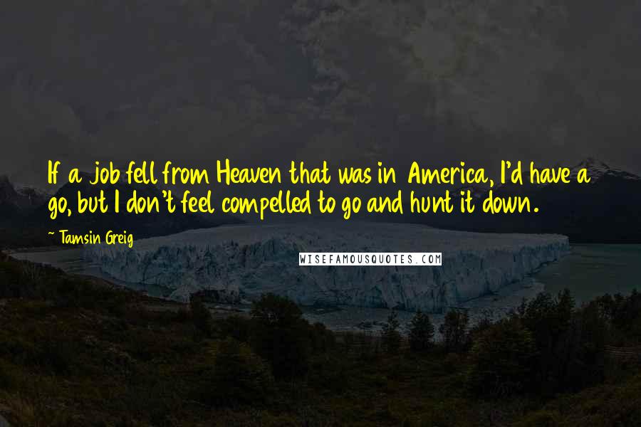 Tamsin Greig Quotes: If a job fell from Heaven that was in America, I'd have a go, but I don't feel compelled to go and hunt it down.