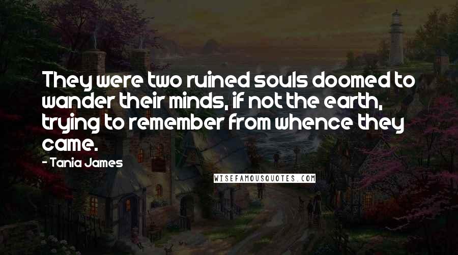 Tania James Quotes: They were two ruined souls doomed to wander their minds, if not the earth, trying to remember from whence they came.