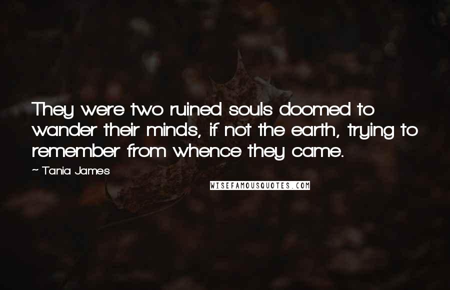 Tania James Quotes: They were two ruined souls doomed to wander their minds, if not the earth, trying to remember from whence they came.