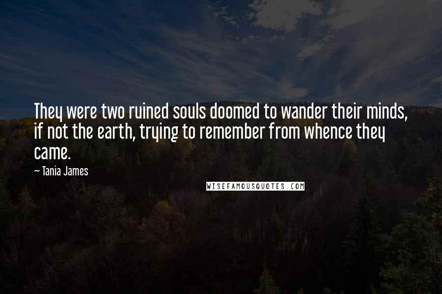 Tania James Quotes: They were two ruined souls doomed to wander their minds, if not the earth, trying to remember from whence they came.