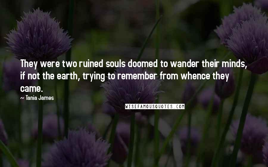 Tania James Quotes: They were two ruined souls doomed to wander their minds, if not the earth, trying to remember from whence they came.