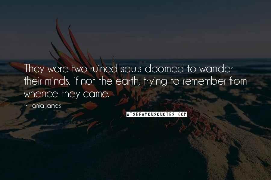 Tania James Quotes: They were two ruined souls doomed to wander their minds, if not the earth, trying to remember from whence they came.