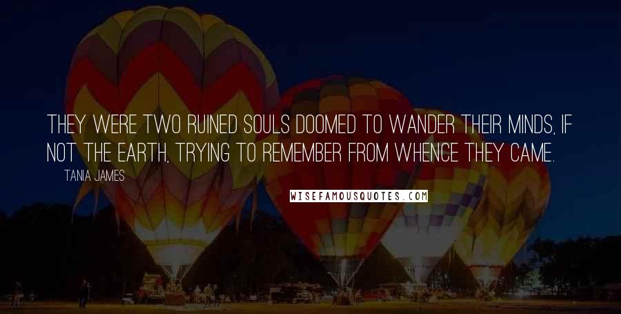 Tania James Quotes: They were two ruined souls doomed to wander their minds, if not the earth, trying to remember from whence they came.
