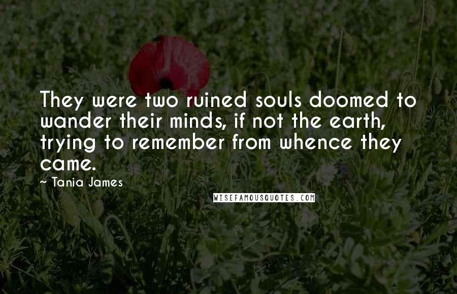 Tania James Quotes: They were two ruined souls doomed to wander their minds, if not the earth, trying to remember from whence they came.