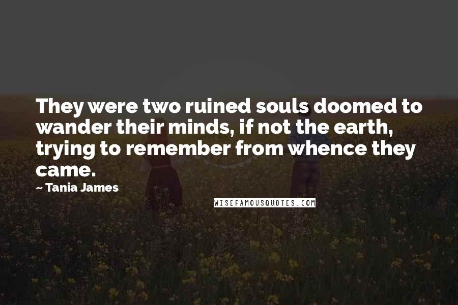Tania James Quotes: They were two ruined souls doomed to wander their minds, if not the earth, trying to remember from whence they came.