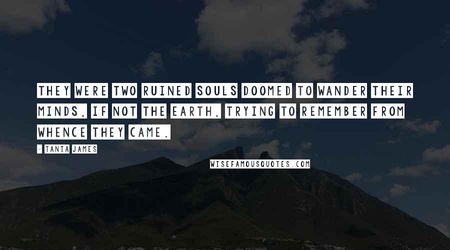 Tania James Quotes: They were two ruined souls doomed to wander their minds, if not the earth, trying to remember from whence they came.