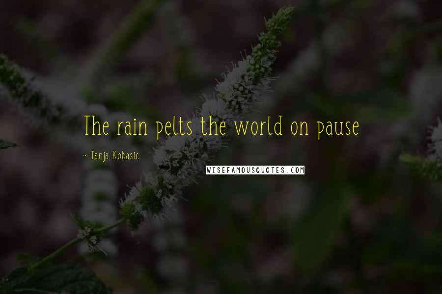 Tanja Kobasic Quotes: The rain pelts the world on pause