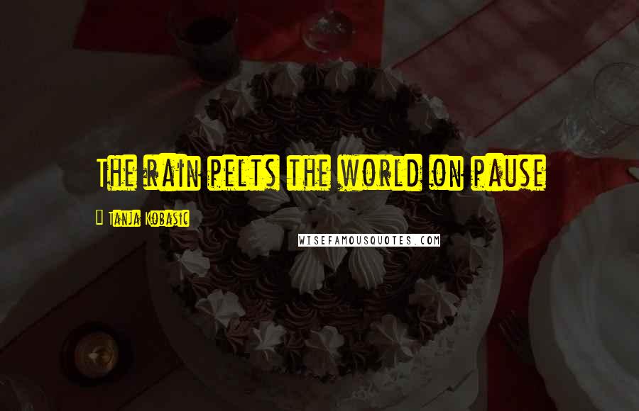 Tanja Kobasic Quotes: The rain pelts the world on pause